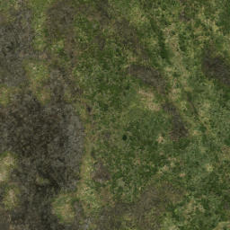 Satellite imagery of Pascoe Point, NZ