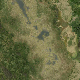 Satellite imagery of Pascoe Point, NZ