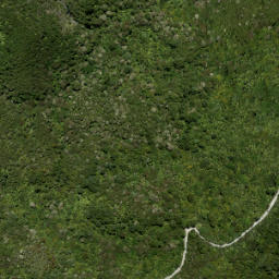 Satellite imagery of Beacon Point, NZ