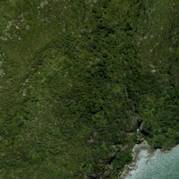 Satellite imagery of Beacon Point, NZ