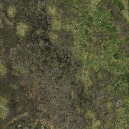 Satellite imagery of Pascoe Point, NZ