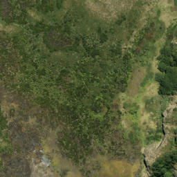 Satellite imagery of Pascoe Point, NZ