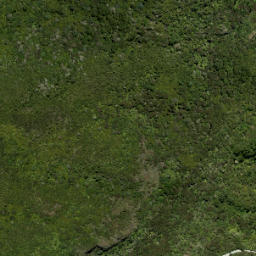 Satellite imagery of U (Waitakere SD), NZ