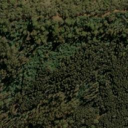 Satellite imagery of Bald Hill, AU