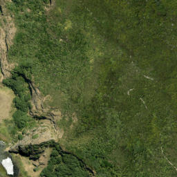 Satellite imagery of Sargent Point, NZ