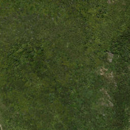 Satellite imagery of Nahana Point, NZ