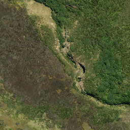 Satellite imagery of Sargent Point, NZ