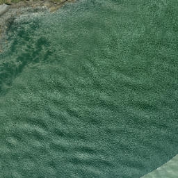 Satellite imagery of U (Waitakere SD), NZ