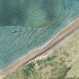 Satellite imagery of Tipitai Point, NZ