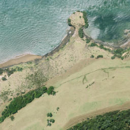 Satellite imagery of Tipitai Point, NZ