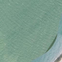 Satellite imagery of South Head Point, NZ