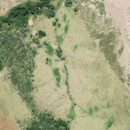 Satellite imagery of Te Pirau Point (Jones Head), NZ
