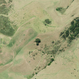Satellite imagery of Tipitai Point, NZ