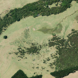 Satellite imagery of Tipitai Point, NZ