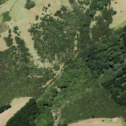 Satellite imagery of Taratara Point (Cake Island), NZ