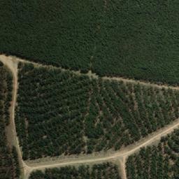 Satellite imagery of Craigie Area, AU