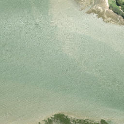 Satellite imagery of Karaka Point, NZ