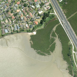 Satellite imagery of Takanini Point, NZ