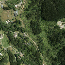Satellite imagery of Puke Kiwiriki Pa, NZ