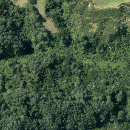 Satellite imagery of 32 AWHITU, NZ