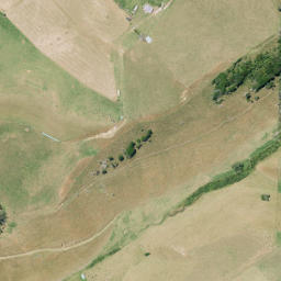 Satellite imagery of Z TREE HILL, NZ