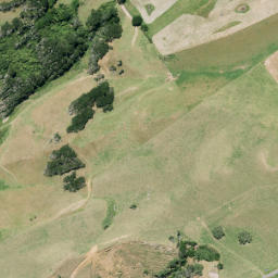 Satellite imagery of Z TREE HILL, NZ