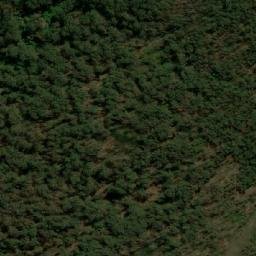 Satellite imagery of Wog Wog Mountain, AU