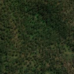Satellite imagery of Wog Wog Mountain, AU