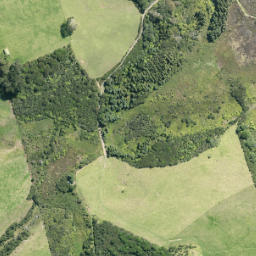 Satellite imagery of Matakawau Point, NZ