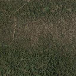 Satellite imagery of Mount Shaw, AU