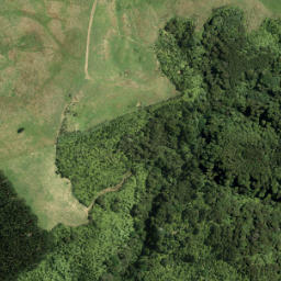 Satellite imagery of 4731, NZ