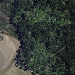 Satellite imagery of Ruahiwihiwi Point, NZ