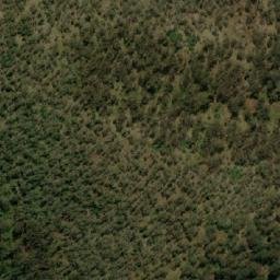 Satellite imagery of Mount Delegate, AU