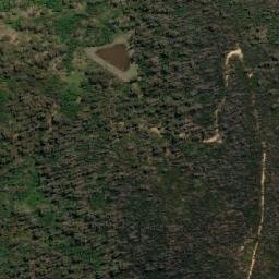Satellite imagery of Torarago Point, AU