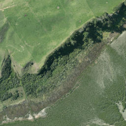 Satellite imagery of Wairoa Point, NZ