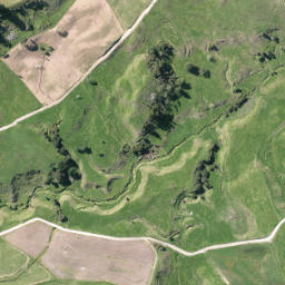 Satellite imagery of S NO 2, NZ