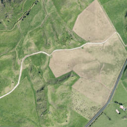 Satellite imagery of S NO 2, NZ
