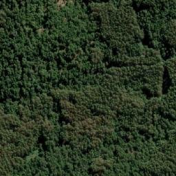 Satellite imagery of Cerro Pan de Azúcar, CL