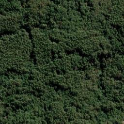 Satellite imagery of Cerro Pan de Azúcar, CL