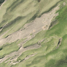 Satellite imagery of R NO 2, NZ