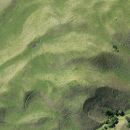 Satellite imagery of R NO 2, NZ