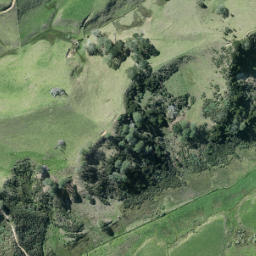 Satellite imagery of S NO 2, NZ