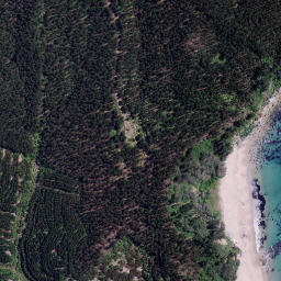 Satellite imagery of Whitipirorua Point, NZ