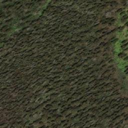 Satellite imagery of Mount Richardson Bowen, AU
