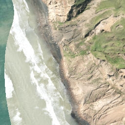 Satellite imagery of R NO 2, NZ