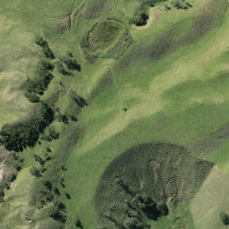 Satellite imagery of R NO 2, NZ