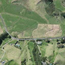 Satellite imagery of S NO 2, NZ