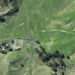 Satellite imagery of S NO 2, NZ