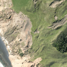 Satellite imagery of R NO 2, NZ