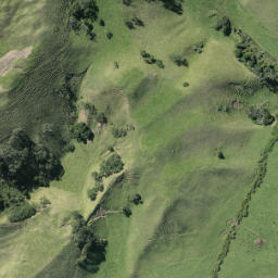 Satellite imagery of R NO 2, NZ